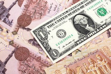 Bir Amerikan banknotunun yakın plan görüntüsü ve Mısır banknotları makroda 1 pound.
