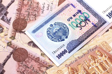 Kahverengi, Mısırlı bir banknotun arka planında on bin Özbek som banknotunun makro banknotlar halinde yakın plan görüntüsü