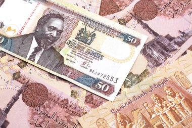 50 Kenya şilinlik banknotun Mısır 'a ait bir banknotla yakın plan görüntüsü.