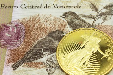 Venezuela 'dan gelen bronzlaşmış 100 Bolivar' ın makro görüntüsü. Altınla birlikte. Yakın çekim..