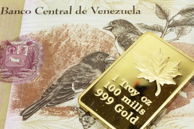 A macro image of a tan hundred Bolivar note from Venezuela with a gold bar.  Shot close up. clipart