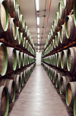 Kanarya Adaları'nda ROM kiler