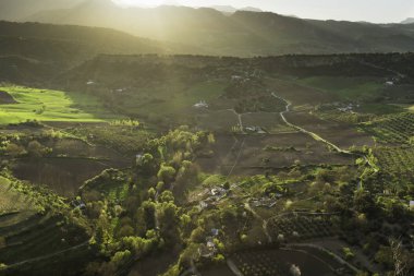 İspanya tarım peyzaj