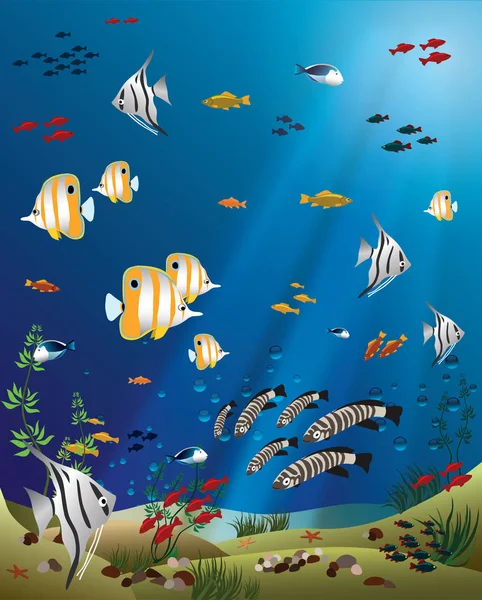 Largeur de la notice poissons tropicaux fond de l'océan — Image vectorielle