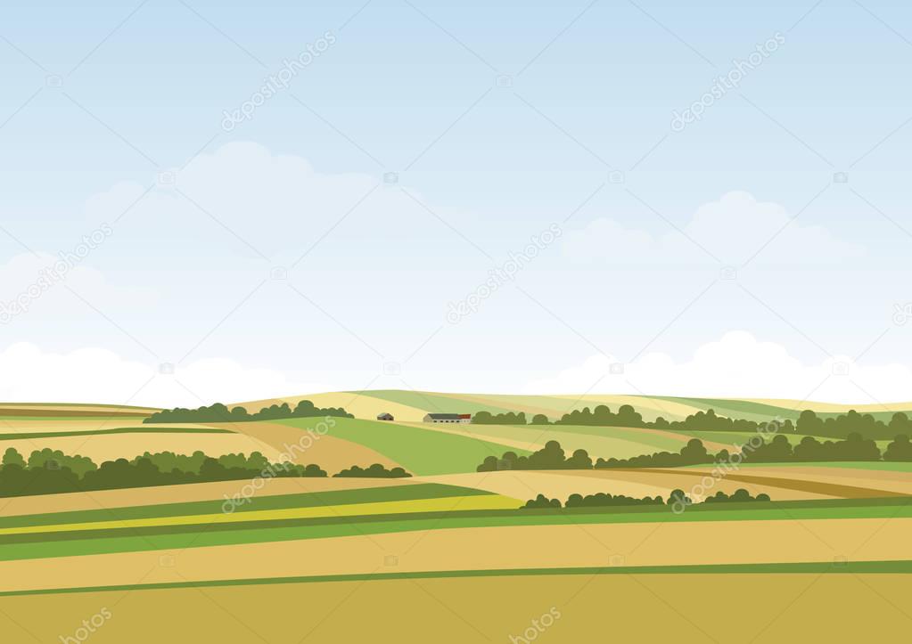 Green hill landscape. Vector illustration of panorama field landscape and cloud sky