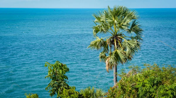 palmiye ve mavi deniz, Andaman deniz kıyısında