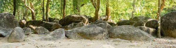 photo of big stones and rocky land in the forest