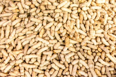 Taze fıstık hammadde fotoğrafı