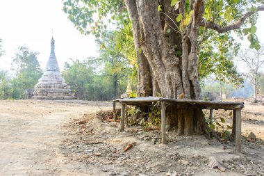 pagoda, ağaç ve tezgah kırsal görünümü