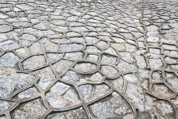 Stone texture or background of floor in the park.