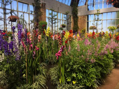 Güzel kapalı Bahçe