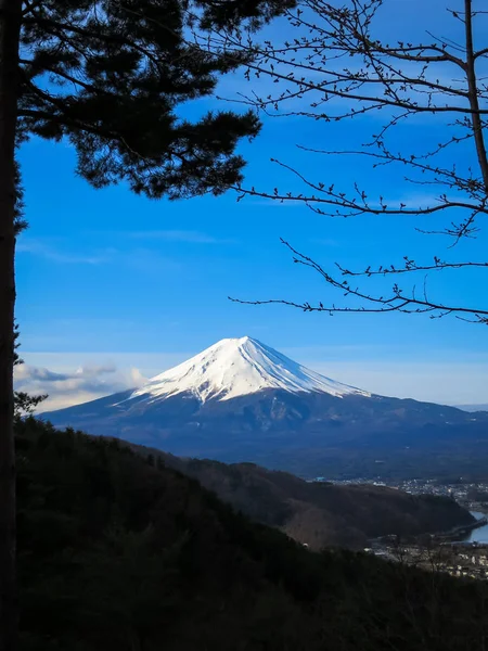 Vista da montanha Fuji com topo de neve branco, uma parte do lago kawaguchiko e fundo azul do céu através de árvores perenes — Fotografia de Stock