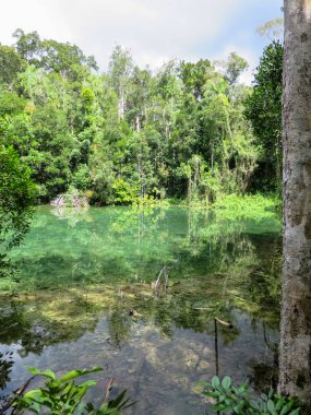 Kaplıca gölet tr tarafından çevrili yeşil renk sahne tonları