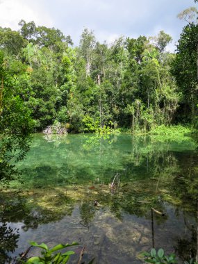 Kaplıca gölet tr tarafından çevrili yeşil renk sahne tonları