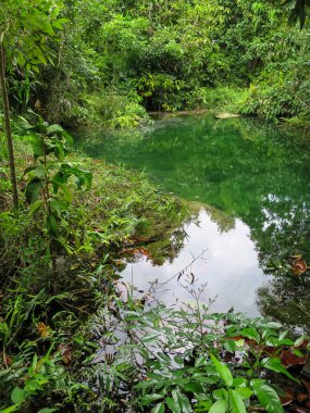 Kaplıca gölet tr tarafından çevrili yeşil renk sahne tonları