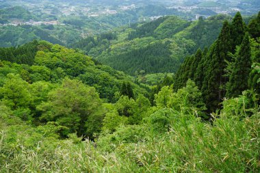Gür yeşilliklerle dağ panorama ve kasaba uzaktan görüntüleyin