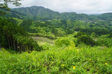 Yeşil dağ panorama ve kasaba görüntülemek uzaktan küçük ile siz