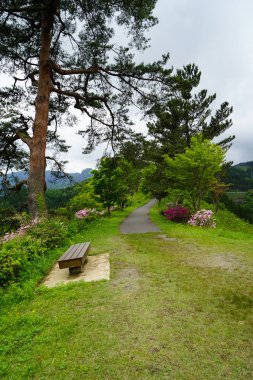 Geçit ve banklar yeşil ağaç ve otların arasında Japon gard arasında