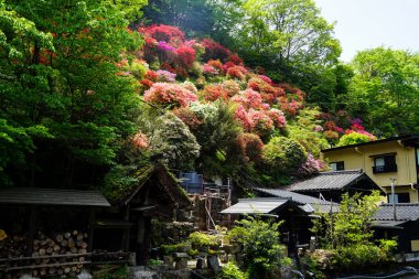 Renkli çiçek açan çiçekler hill, yeşil ağaçlar ve yerel görünümünü güneşli günde Kurokawa onsen kasabada evler.