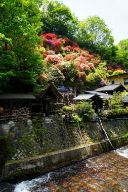 Hill, yeşil ağaçlar, yerel evleri ve nehir akarsu üzerine renkli çiçek açan çiçekler Kurokawa onsen şehrin görünümü güneşli