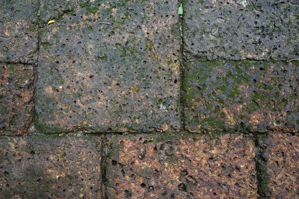 Humid rusty red brick stone laterite pavement block pattern background with green lichen — Stock Photo, Image