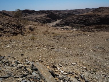 Sert kaya dağ doku Namib Çölü benzersiz coğrafyasının taş zemin bölme ile arka plan manzara ve bitki çöl