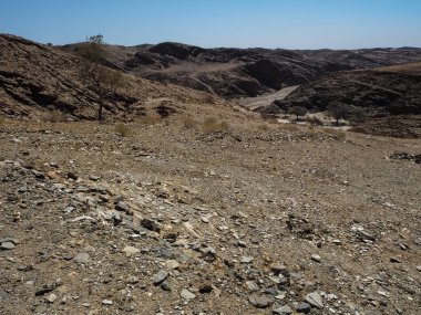 Güzel bir sahne rock dağ doku manzara panorama arka Namib Çölü benzersiz coğrafyasının taş zemin ve çöl ağaç bölme ile yolda 