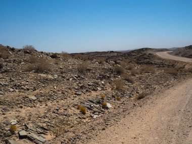 Namib Çölü sıcak toprak yol yolculuk macera yolculuğu olay yerine yatay olarak rock dağ ufuk yerel bitki, taş ve açık mavi gökyüzü ile kurutulmuş
