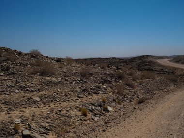Toprak yol yolculuk Namib Çölü kuraklık manzara dağ ufuk yerel bitki, taş ve açık mavi gökyüzü ile macera yolculuğu sahnesinde
