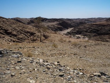 Namib Çölü benzersiz Coğrafya taş zemin road, çöl bitki ve açık mavi gökyüzü bölme ile büyük rock dağ panorama manzara arka plan yolculuk macera