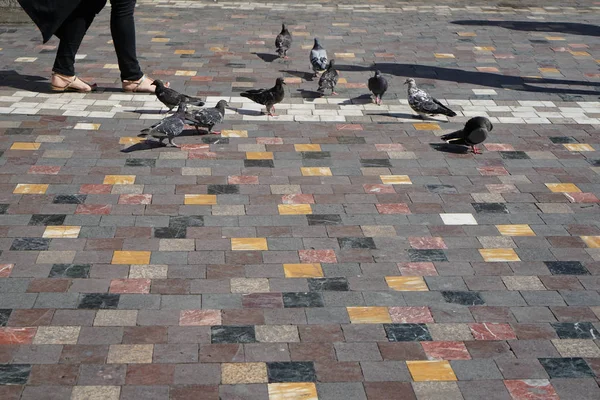 Pessoas e pombos cinzentos caminhando com sombra fundida em forma quadrada colorido piso de textura de mármore na cidade velha espaço aberto público no dia de sol — Fotografia de Stock