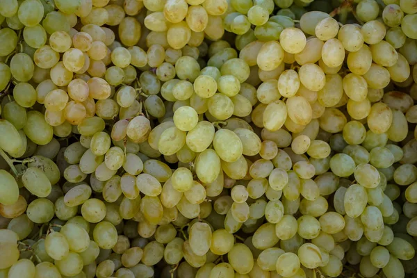 Piles of delicious fresh juicy seedless green grapes background in local city fruit market — Stock Photo, Image
