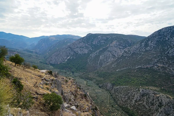 Świeże spojrzenie okoliczne Parnassus wapienne góry Doliny, odcienie zieleni gajów oliwnych i innych drzew z jasnego nieba tło — Zdjęcie stockowe