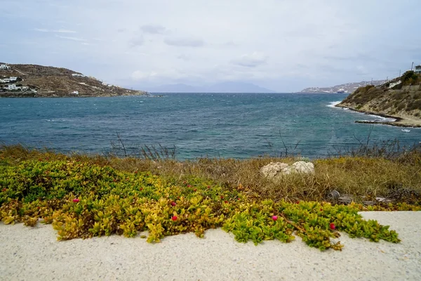 Blu mare, cielo, montagna e bianco sfondo edificio con verde pianta groundcover e rosa fiore primo piano — Foto Stock