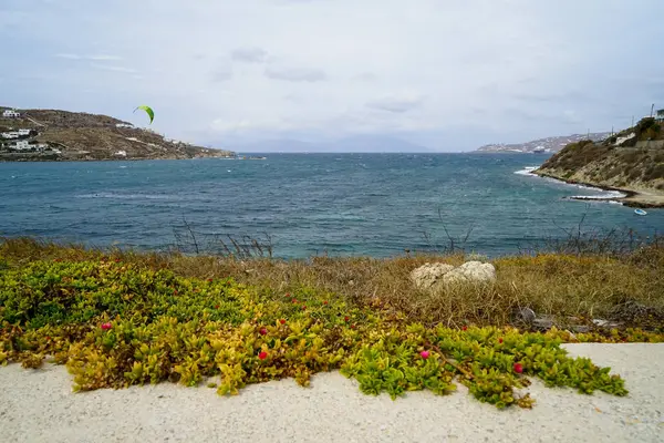 Kitesurf, sport acquatici estremi in forte vento sulla spiaggia della baia di Korfos su sfondo blu mare e cielo con pianta di copertura del suolo e fiore rosa in primo piano — Foto Stock