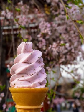 Lezzetli tatlı pembe sakura zevk Japon dondurma yumuşak hizmet koni kiraz çiçeği ağaç dalları arka plan altında seçici odak