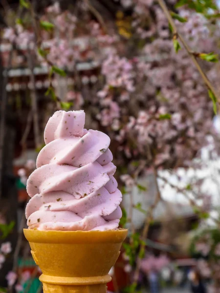 Enjoying delicious sweet pink sakura japanese ice cream soft serve cone under cherry blossom tree branches background, selective focus
