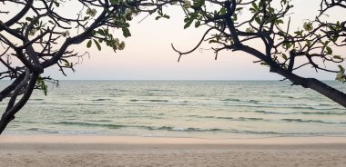 Gün batımı pastel seaview arka plan akşam, dalga yumuşak ve güzel siluet Plumeria veya Frangipani çiçek ağaç üzerinden beyaz kumlu plaj kemer kopya alanı