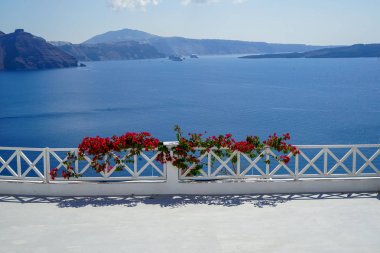 Koyu pembe kırmızı Bougainvillea çiçek ön plan doğal Akdeniz görünüm ve caldera dağ arka plan önünde, Santorini Beyaz ada balkon
