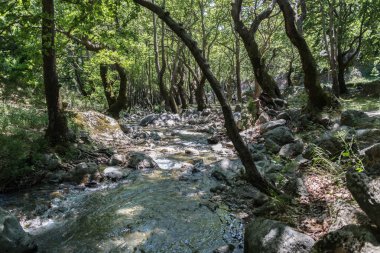 Nehir Mount Dirfys, Yunanistan.