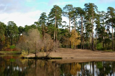 Çam ormanı yansıması ile gölün kumlu sahilde