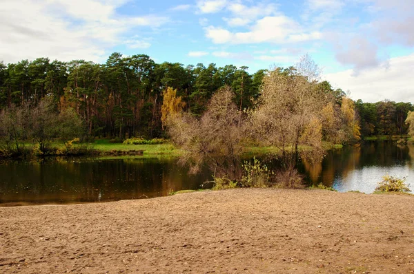 Orilla del lago frente al bosque de pinos — Foto de Stock