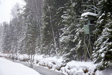 Druskininkai, Litvanya - 07 Ocak 2011: Muhafız Kulesi ormandaki