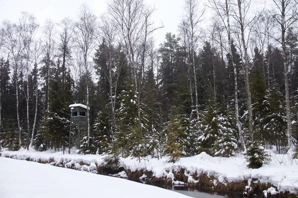 DRUSKINKAI, LITUANIE - JAN 07, 2011 : Tour de garde en forêt à — Photo