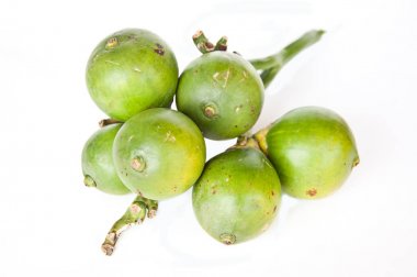 beyaz zemin üzerine tembul palm
