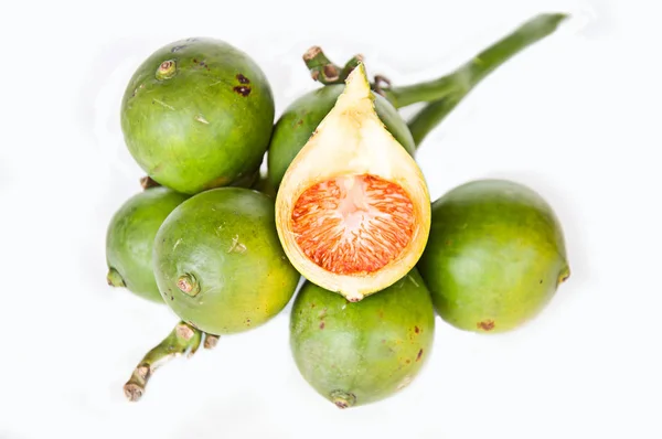 Betel Palm White Background — Stock Photo, Image