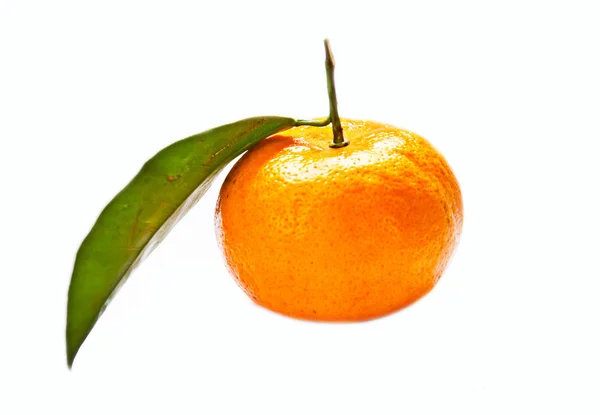 Fruta Naranja Sobre Fondo Blanco — Foto de Stock