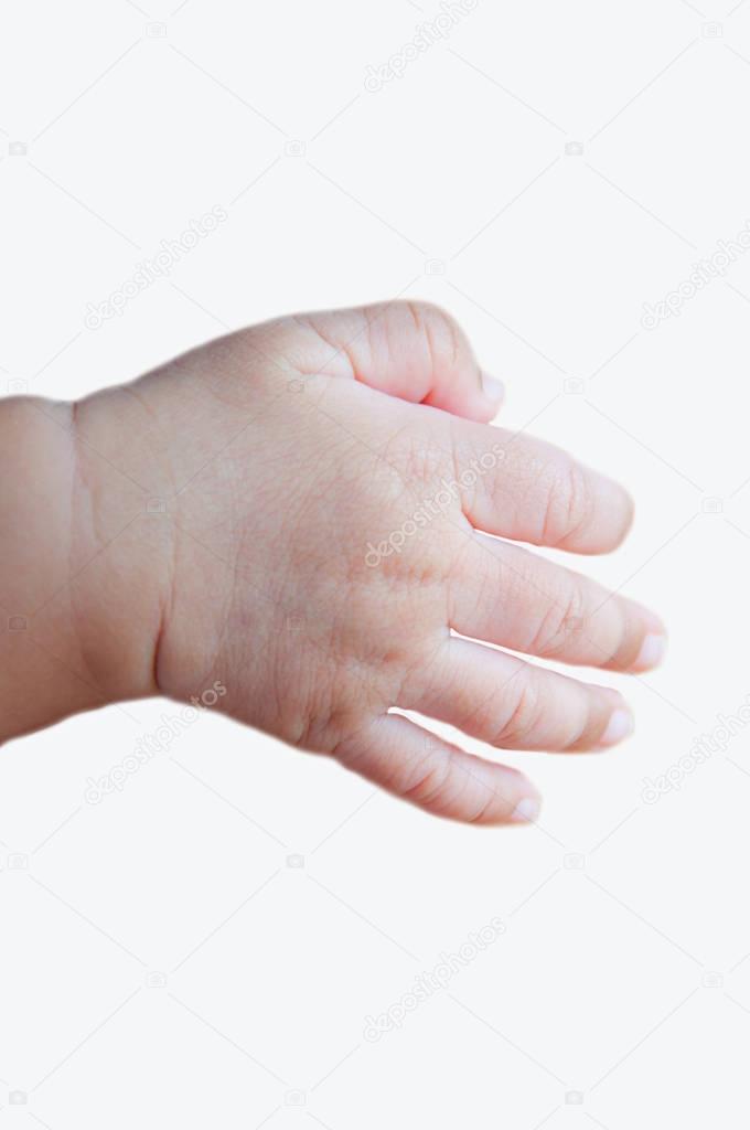 Baby hand  on white background