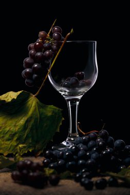 Botanik bir meyve üzüm vardır bir berry, çiçekli bitki cins Vitis yaprak döken odunsu üzüm.