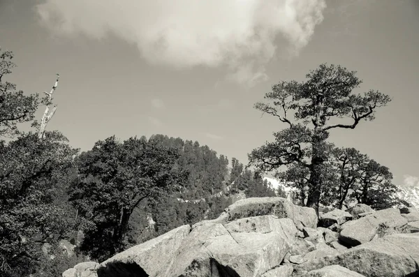 Triund, Himachal Pradesh, Hindistan - 17 Nisan 2016: geniş açı v
